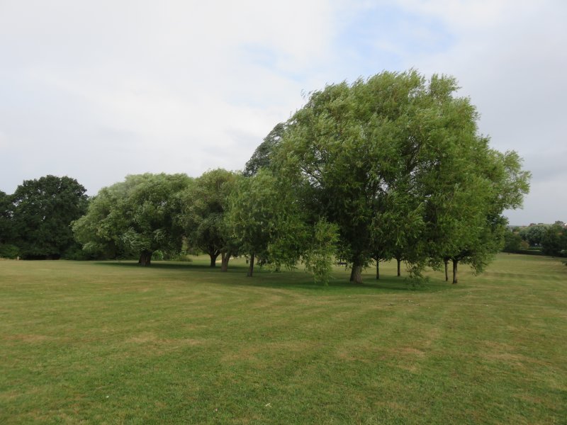 Cuddington Recreation Ground
